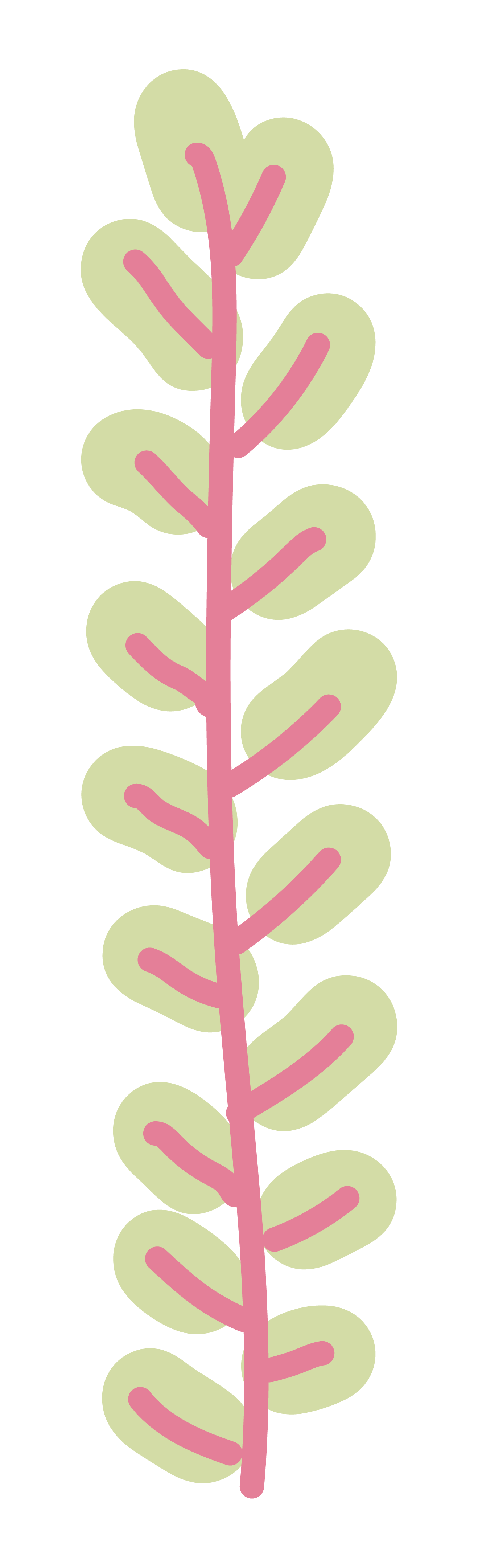 Elemento 13
